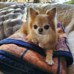 7才になりました